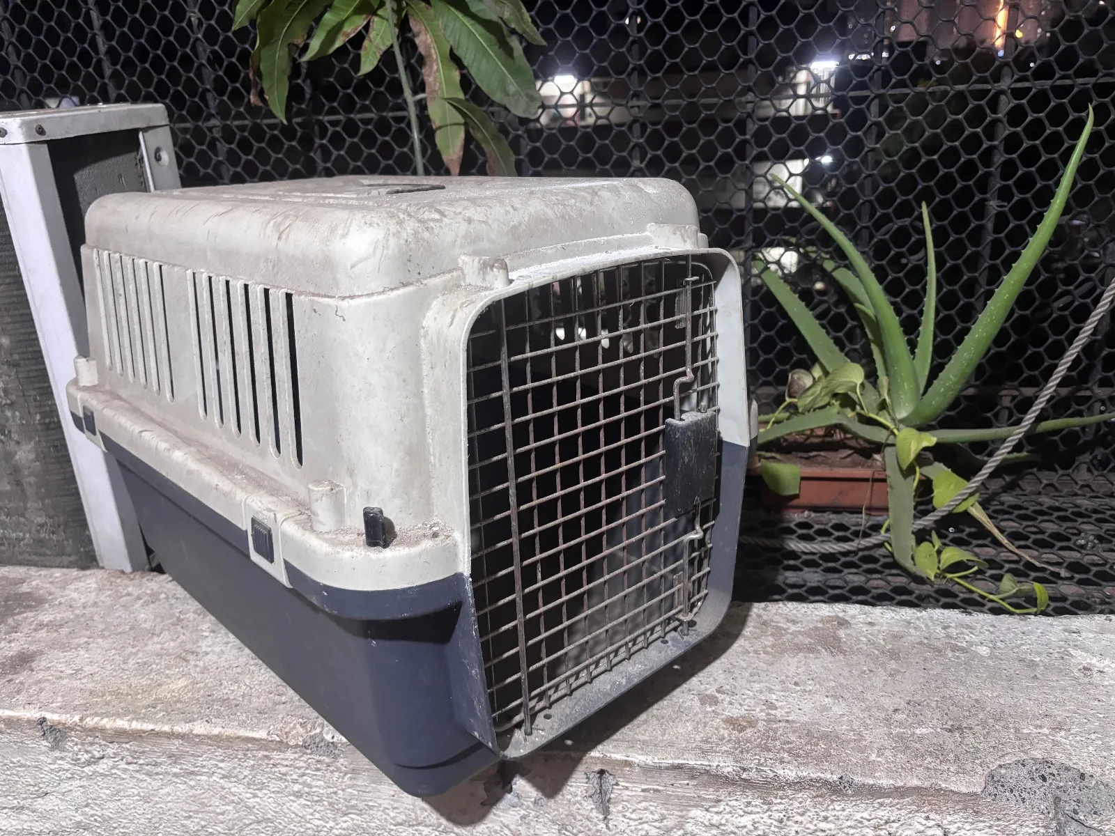 Pet Carrier for sale in MUMBAI, Maharashtra