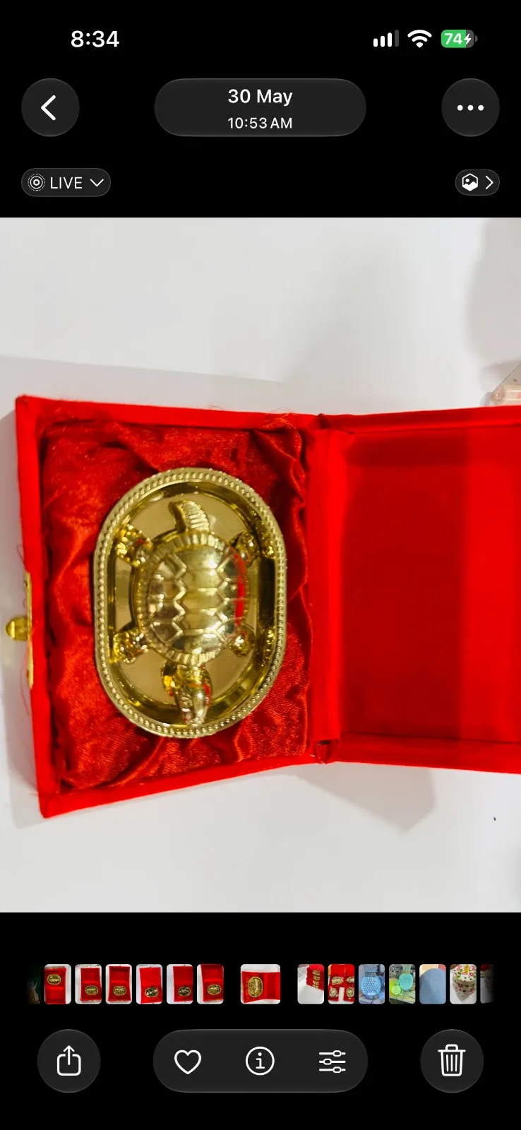 Tortoise kachua with Plate for sale in Moradabad, Uttar Pradesh