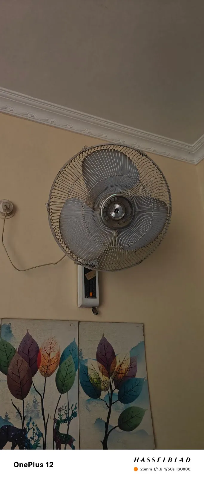 Wall fan for sale in NIPANIA, Madhya Pradesh