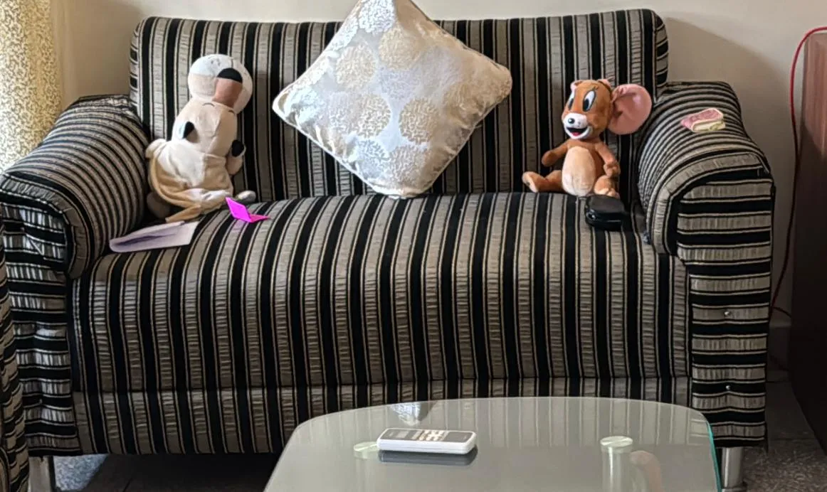 2 Seater Sofa for sale in New Delhi, Delhi