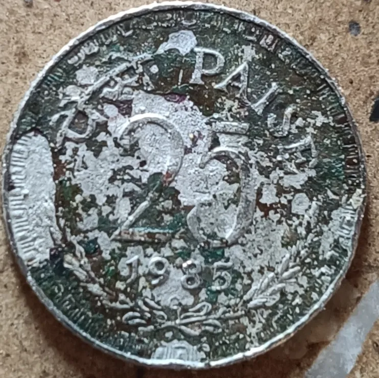 1985 Indian 25 Paise Coin - Thumbnail 2
