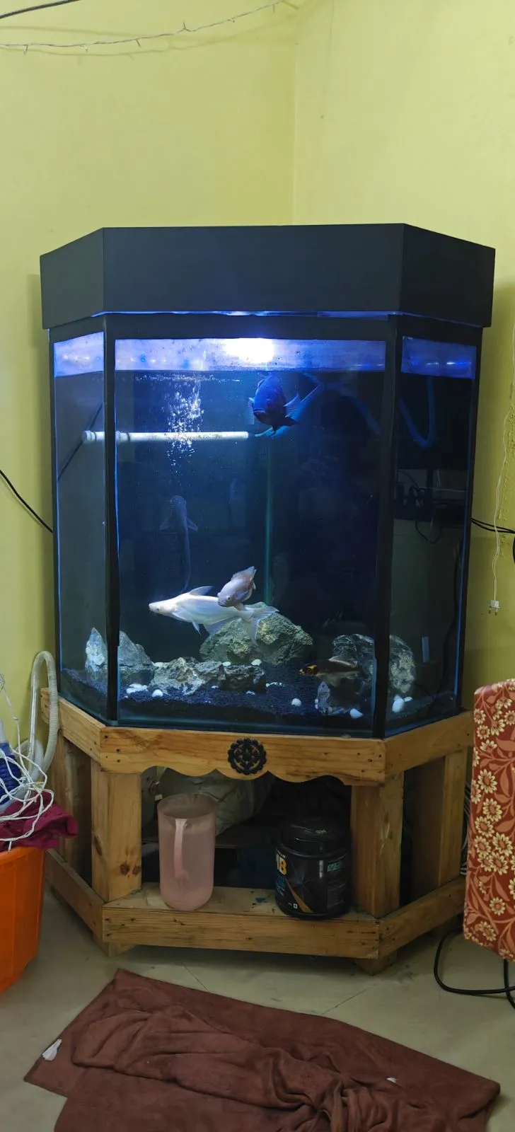 Fish aquarium tank and canister filter - Thumbnail 5