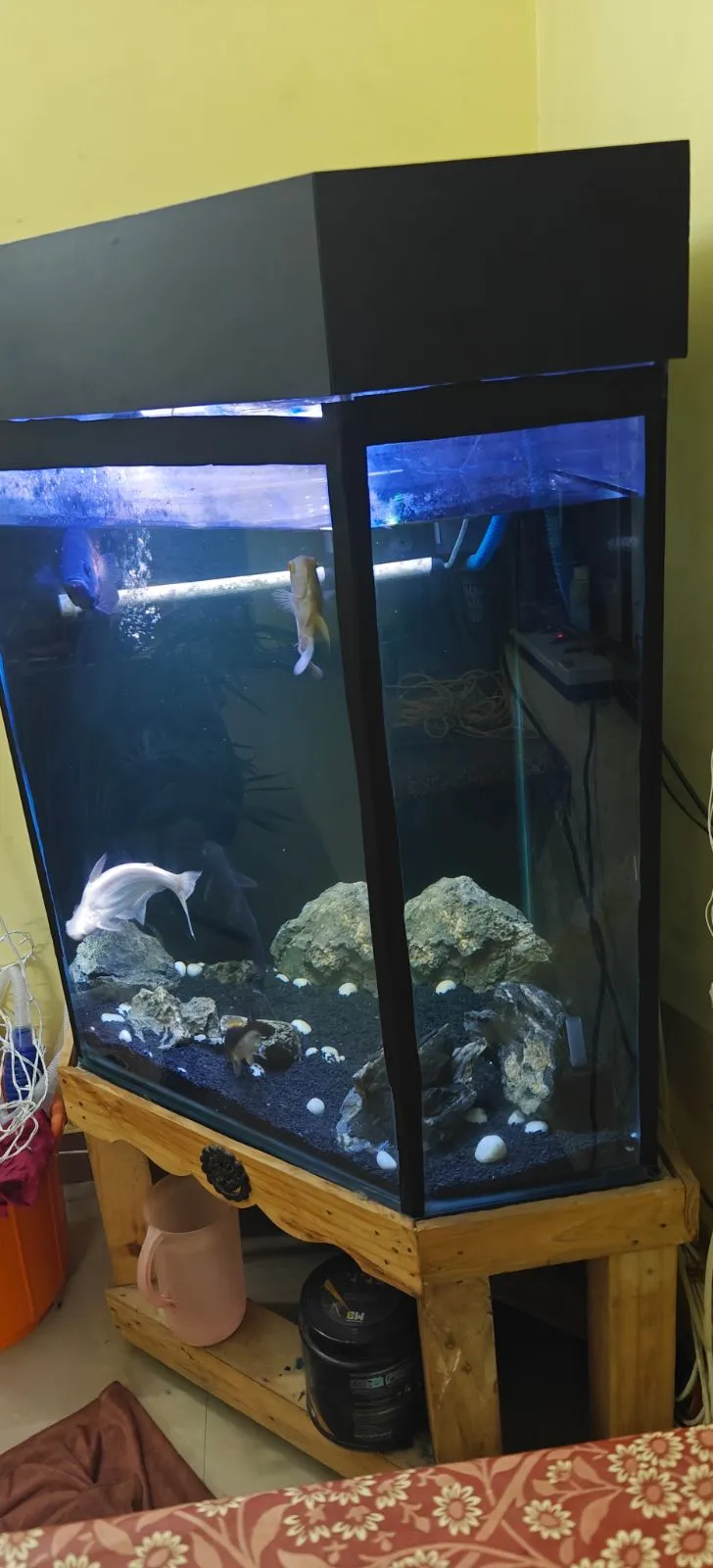 Fish aquarium tank and canister filter - Thumbnail 2