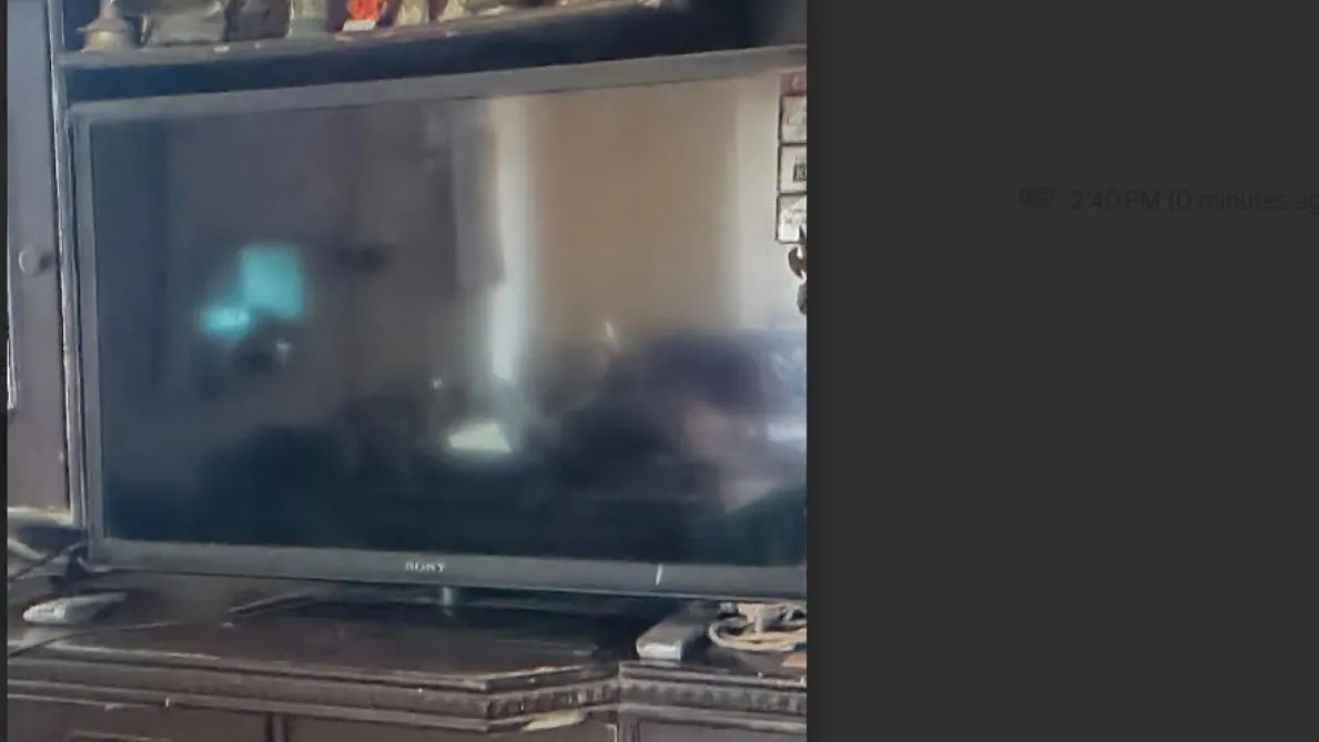 Sony LED Bravia TV 43 inches for sale in navi mumbai, Maharashtra