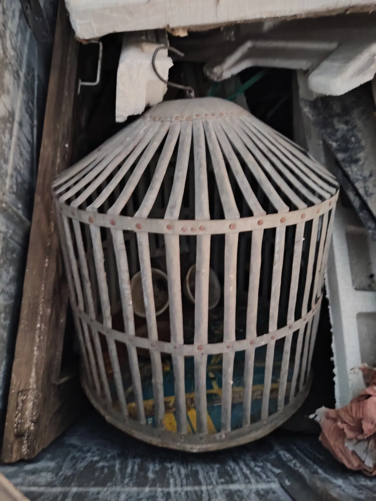 Parrot Iron cage - Image 1