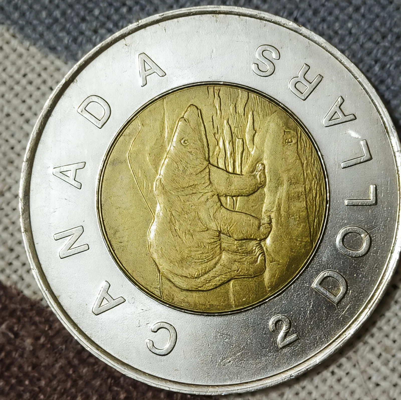 Canadian dollar - Thumbnail 2