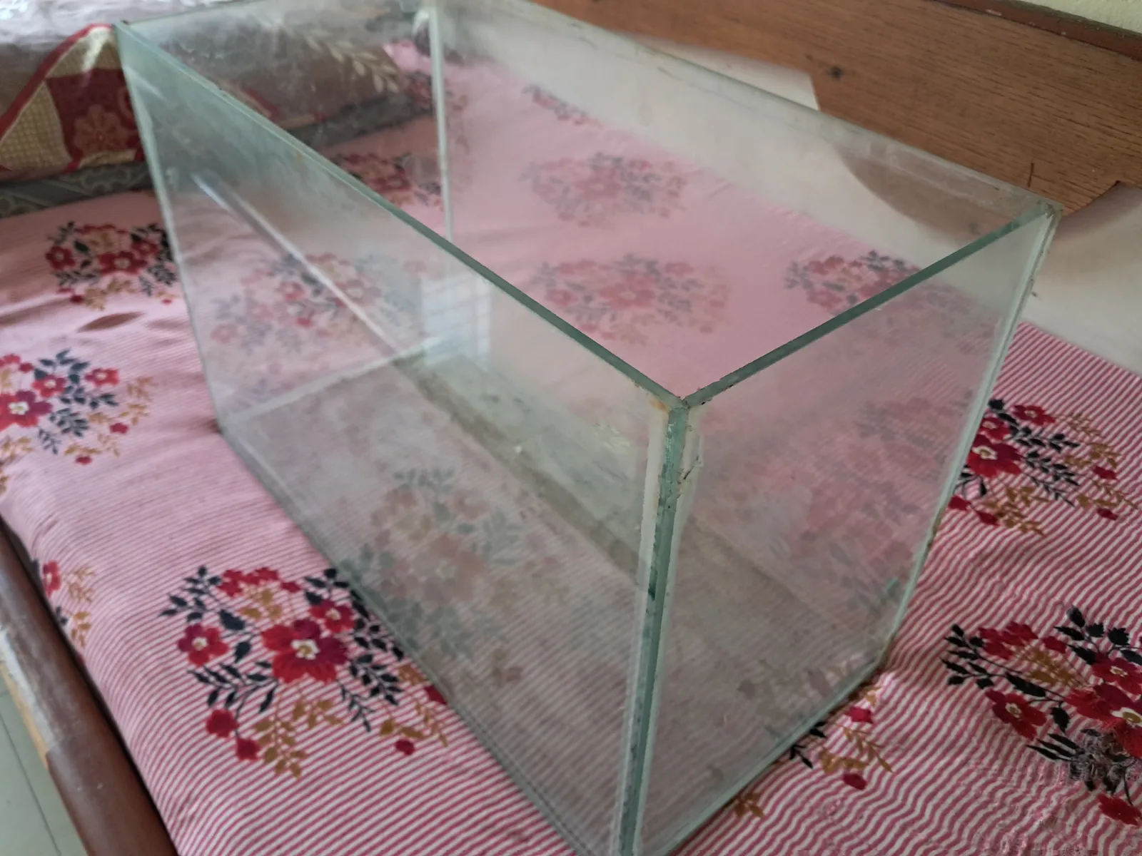 Fish tank . - Thumbnail 5