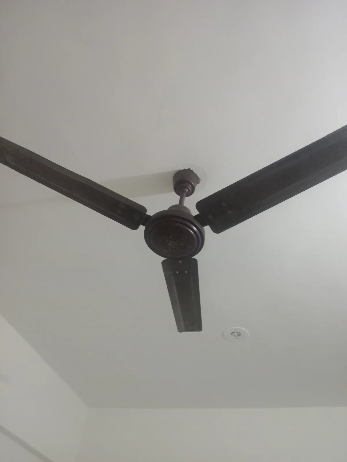 Oriental Tower Fan, Orient Ceiling Fan, Crompton Exhaust Fan - Image 1