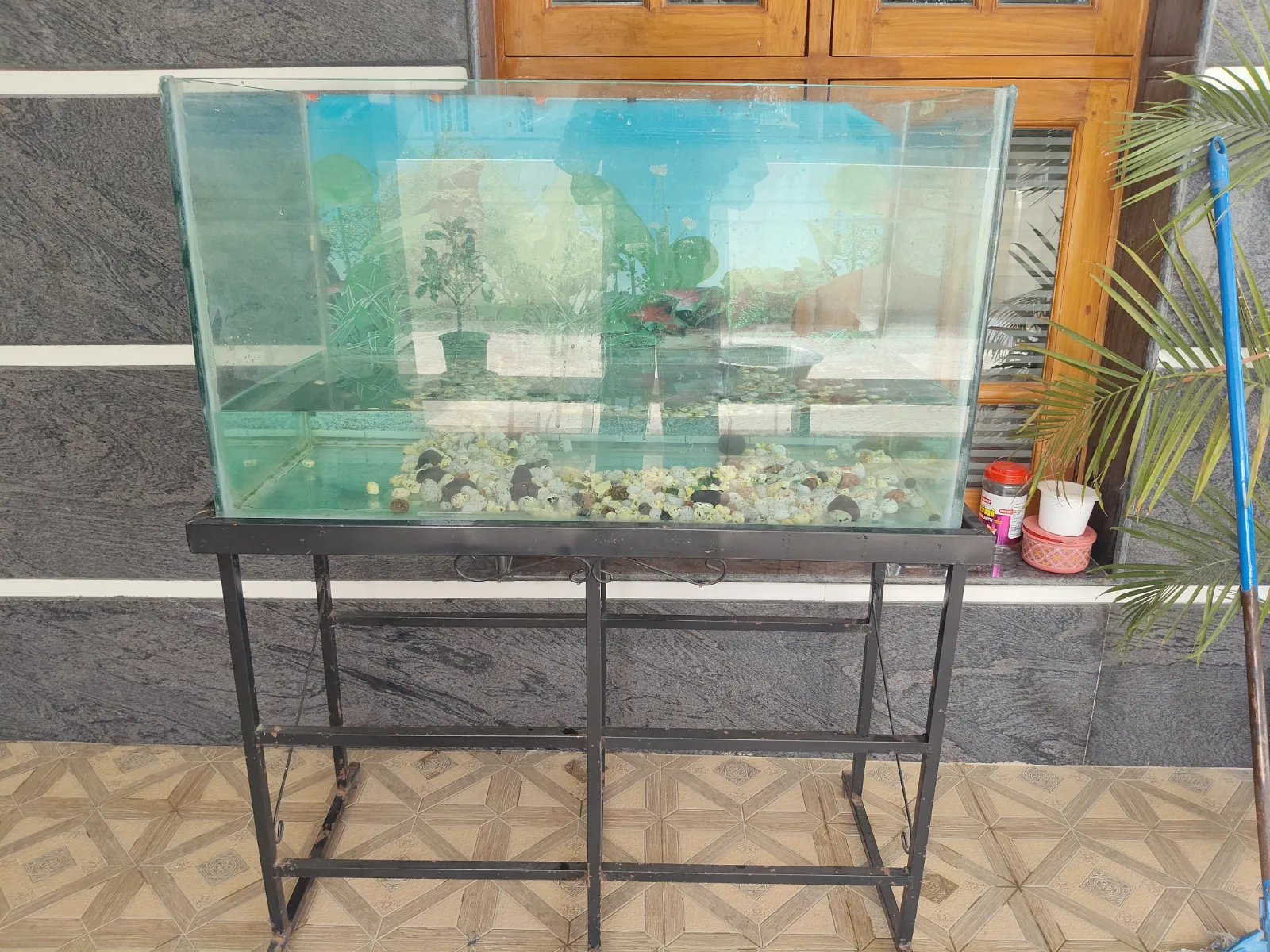 Aquarium Fish Tank with 6 Live Fish for Sale - Thumbnail 5
